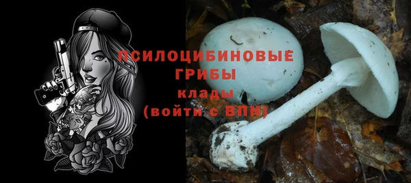 молекула духа Аркадак